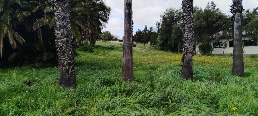 0 Bedroom Property for Sale in Hartebeesfontein Western Cape